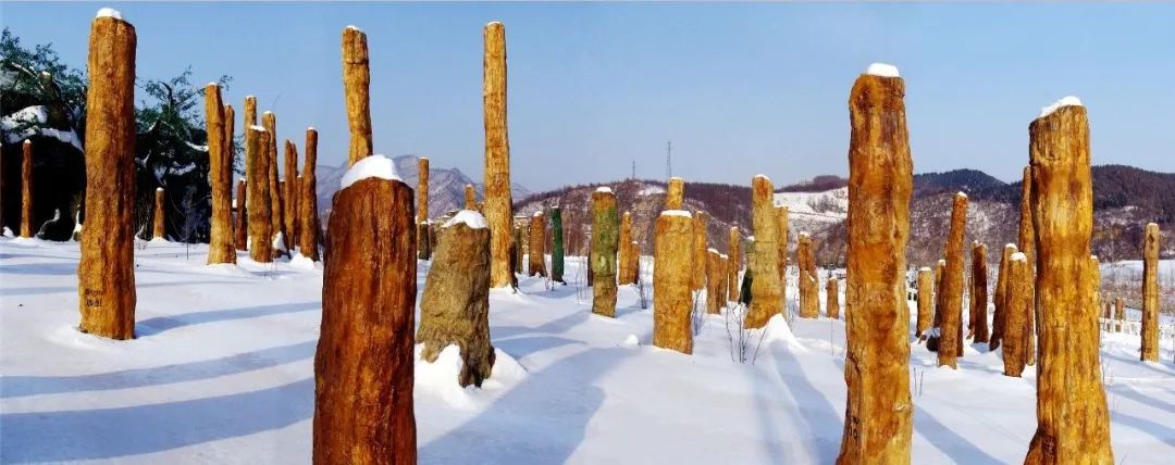 抖圈水洞风物区开园啦_抖圈水洞风物区