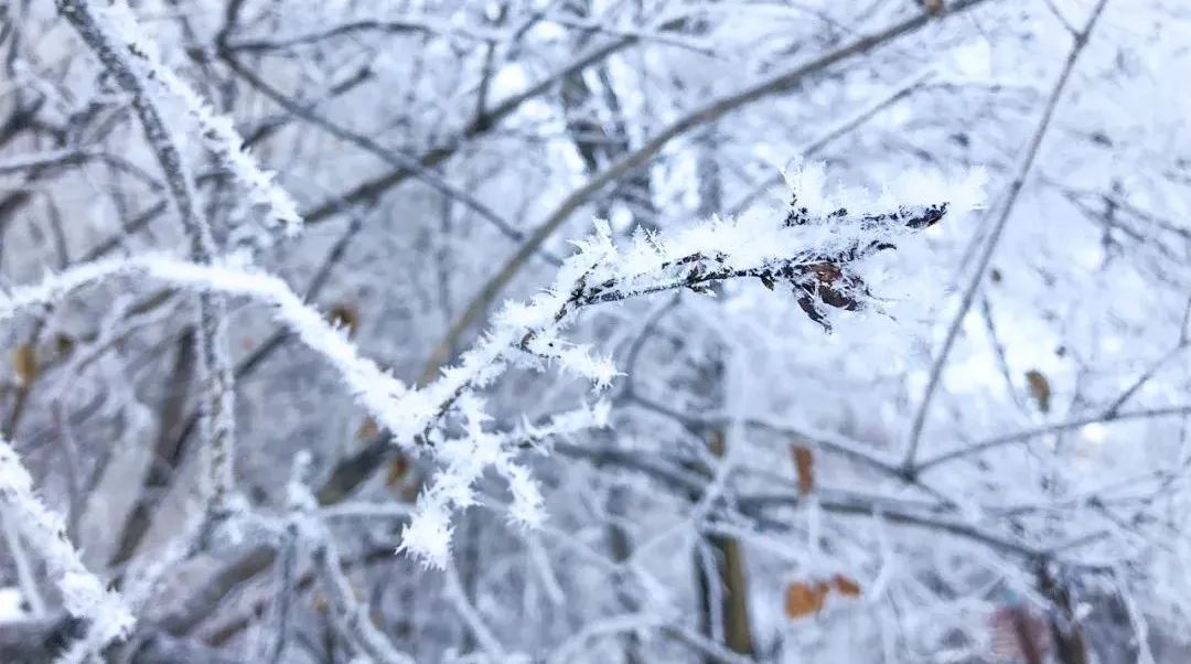 抖圈水洞风物区开园啦_抖圈水洞风物区