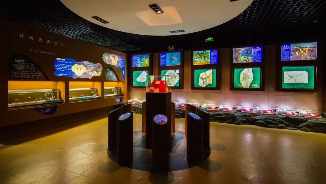 抖圈水洞风物区开园啦_抖圈水洞风物区