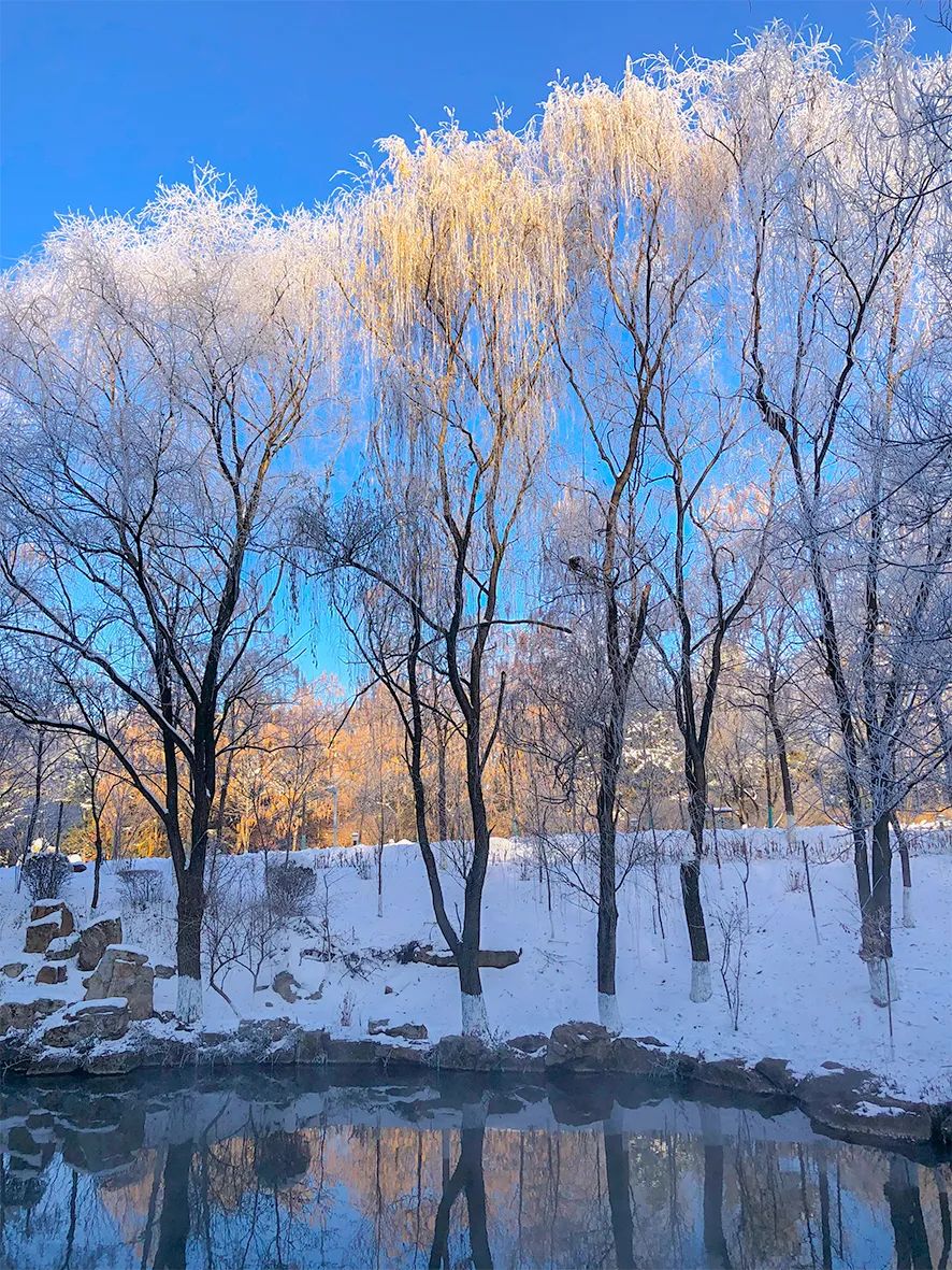 抖圈水洞风物区开园啦_抖圈水洞风物区